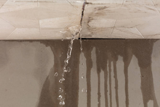 Professional Water Extraction technician working in Lutts, TN